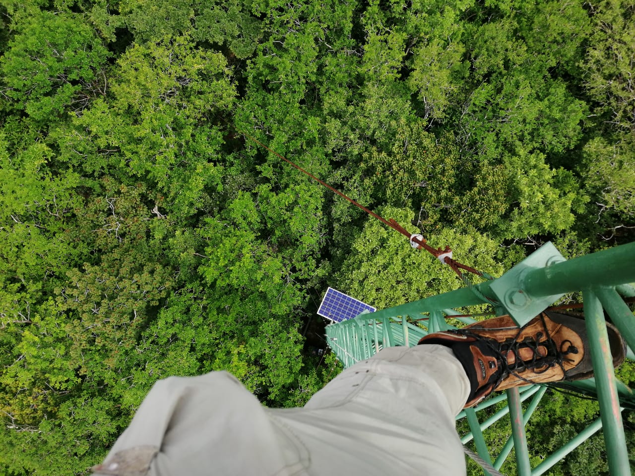 View from the Flux Tower in Santa Rosa National Park, Costa Rica