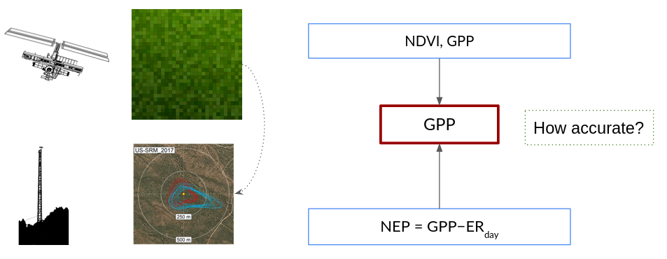 Comparison of GPP estimation techniques